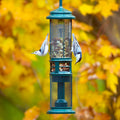 Squirrel Buster Nut Truly Squirrel-Proof Bird Feeder