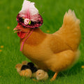 Chicken Tutus for Hens and Hat Clothes Costume, Cute Feather Chicken Hat, Clothing for Chickens, Feather Skirt Tutu Dres