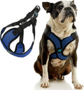 Gooby Comfort X Step-in Lite Harness, Choke-Free, Blue, Medium