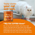 Zesty Paws Cranberry Urinary Tract Bites for Cats - Kidney & Urinary Tract Health - Soft Chews with D-Mannose, Vitamin B6 & L-Arginine - Immune & Gut Support - Bacon - 60 Count