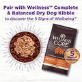 Wellness Bowl Boosters Bare Freeze Dried Dog Beef Food Topper for Small, Medium, and Large Breeds, Grain Free, Natural, 