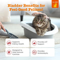 Zesty Paws Cranberry Urinary Tract Bites for Cats - Kidney & Urinary Tract Health - Soft Chews with D-Mannose, Vitamin B6 & L-Arginine - Immune & Gut Support - Bacon - 60 Count