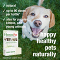 HomeoPet Doggy Dental, Safe, Gentle, and Natural Tooth and Dental Care for Dogs, Water-Additive Supplement, 15 Milliliters