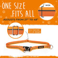 Mighty Paw Hands Free Dog Leash | Bungee Waist Leash for Dog Walking. Pet Running Hands Free Tether for Large, Medium & 