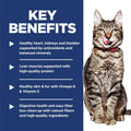 Hill's Science Diet Adult 7+ Indoor Dry Cat Food, Chicken, 7 lb. Bag