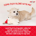 Multipet Lamb Chop Dog Plush Toy - Squeaky Toy for All Dogs - Extra Soft Plush - Stuffed Animal Dog Toy for Cuddling & Playing - Cute Pet Toy (6", Cream)