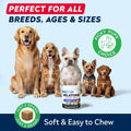STRELLALAB Melatonin for Dogs to Sleep 6mg - Doggie Sleep Aid Treats - Sleeping Pills for Anxiety - Extra Strength Calming Chews Large & Small Breed Help Sleep at Night - Made in USA - 60Ct