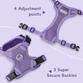 Small Dog Harness and Leash Set, Adjustable Small Sized Pet Vest