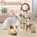 Bissap Bunny Chew Toy, Rabbits Cage Hanging Chew Toys and Treats Grapevine Wreaths Rattan Ring with Snacks for Guinea Pi