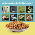 WormsFarm 10lb Dried Mealworms for Wild Birds Chickens Feed for Laying Hens,Ducks,Reptiles