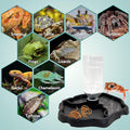 9oz Reptile Water Bottle, Turtle Food and Water Bowl Automatic Feeders Waterer Tortoise Dispenser Bottle Feeding Dish fo