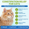 Cat Constipation Relief, Promotes Digestive Chicken Flavor Health 60 ml