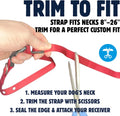 3/4" Orange Replacement Collar Strap, Fits Most Fence & Training Receivers