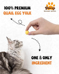 PAWUP Freeze Dried Cat Treats, Quail Egg Yolk, Single Ingredient, 4.2 oz