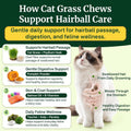 Cat Grass Treats Chews, Cat Treats for Indoor Cats 500 Ct, Hairball Control