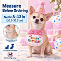 Cat Birthday Hat & Bandana Set with Age Numbers for Small Dogs Pink