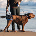 Walkabout Back End Harness (med/Large
