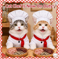 Cat Chef Costume for Medium Cat Pet Chef Hat Bow Tie Set Halloween Costume