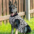 Recovery Suit for Dogs After Surgery, Dog Recovery Suit Female Male after Neutering, Dog Spay Surgical Recovery Suit Fem