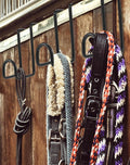 QWORK 4 Inch Tack Hook Set - 4 Pack Heavy Duty Black Horse Halter Rack, Over Rail Bridle Hooks Anti-Rust Coated Metal Ho