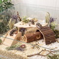 Breezehug 4 Pcs Hamster Cage Accessories Hamster Platform Toy, Hole