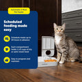 PetSafe Analog 2 Meal Programmable Pet Feeder, Automatic Dog and Cat Feeder - Dry or Semi-Moist Pet Food Dispenser, Slow Feed Portion Control (3 Cup/16 Ounce Total Capacity), Tamper-Resistant Design