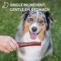 Downtown Pet Supply Bully Sticks for Dogs - Natural 6 Inch Beef Chews, Odor-Free & Rawhide-Free, Long Lasting Dog Treats