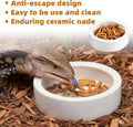 Escape-Proof Reptile Food Dish Bowl, Ceramic Reptile Feeding Dish & Small Animal Bowl for Lizard, Leopard Gecko, Hermit 