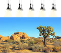 Desert Reptile Tank Background Joshua Tree Rocks Desert Terrarium Background Desert Landscape Reptile Terrarium Backgrou