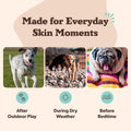 Natural Dog Company Skin Soother Balm for Skin Irritation, Allergy and Itch Relief for Dogs, Hot Spot Treatment, Dog Moisturizer for Dry Skin, Healing Ointment with Coconut Oil & Vitamin E, 2 oz Stick