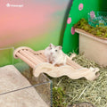 Niteangel Hamster Climbing Ladder Bridge: 8.26 x 3.7 x 1.1 inch