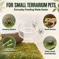 Jumping Spider Enclosure Accessories, Feeding Kit with Acrylic Bowl