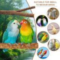 7-Piece Bird Perches for Cage- Wooden Parrot Stand with Fork Toys, Hanging Multi-Branch Platform, Hammock Swing, Gym Playstand & Chewing Toys - for Parakeets, Budgies, Lovebirds - Durable