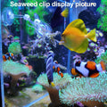 Coral Reef Grabber,Coral Feeder,Aquarium Veggie Feeder,Fish Tank Food Clip,Fish net(Reef Grabber and Coral Feeder Kits (