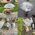 LESYPET Small Dog Umbrella, 29" Width Clear Dogs Umbrella Waterproof Dog Raincoat with Chain Leash for Outdoor Walking R