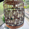 Large Bird Cage Seed Catcher Net Fits Round and Square Cages for Parakeet, Macaw, African Grey, M