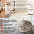 Broad-Spectrum Dewormer for Cats & Kittens, for Tapeworms, Hookworms & Roundworms, 50 Tablets