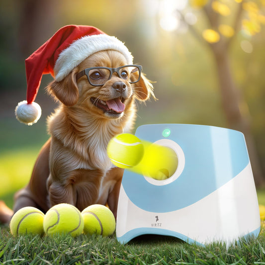 WRTZ Automatic Dog Ball Launcher for Small Dogs – Dog Ball Thrower Fetch Machine - Indoor Outdoor Interactive Toy with 3 Mini Tennis Balls 2 Inch