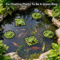 10 PCS Aquarium Floating Plant Barrier, 5 Sizes Fish Feeding Ring Black