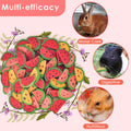 KATUMO Bunny Chew Toys, Natural Rabbit Treats for Guinea Pig