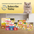 INABA Churu Entrée Bisque for Cats, Grain-Free, High Moisture, Prebiotic Wet Cat Food, 1.76oz. per Pouch, 6 Pouches, Chicken with Salmon Recipe
