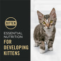 Purina Pro Plan Complete Essentials Kitten Food, Chicken & Rice, 3.2 lb Bag