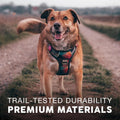 Embark Adventure No Pull Dog Harness, Reflective Trim No Pull Harness for Medium Sized Dog - Military Grade Nylon, Front Clip with Gel Lined Handle. Soft & Padded Puppy