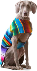 Dog Clothes - Handmade Dog Poncho from Authentic Mexican Blanket by Baja Ponchos (Blue, Small)