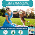 Flea and Tick Prevention Chews Bundle for Cats & Dogs, Natural Oral Flea Treatment, 200 Dog Soft Chews + 500 Cat Crunchy