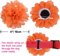 POSAPET 10 Pieces Dog Collar Flowers - Multi-Color Puppy Charms for Small, Medium & Large Dogs - Wedding & Party Pet Accessories - Photo Shoot Ready (Gender Neutral Design)
