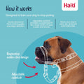 Halti Optifit Headcollar for Dogs | Size L