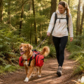 Dog Hiking Backpack, Dog Harness with Pockets Lightweight 2 in 1 Removable Storage Saddle Pack Breathable Padded Vest wi