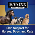 BANIXX Horse and Pet Care Spray for Horses, Dogs and Cats, Daily Skin and Coat Care Spray, Alcohol-Free, Non-Staining, N