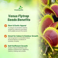 Outsidepride Venus Flytrap Seeds - 10 Pcs Perennial, Unique & Carnivorous, Indoor Plant Seeds for House Plants, Easy to 